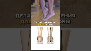 Полезные упражнения ДЛЯ СТОП ☑️ #shorts #стопы #упражнениядляног #тренировки #здоровье