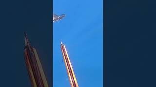 Close Call with Aggressive Smooth Hammerhead Shark in Hawaii