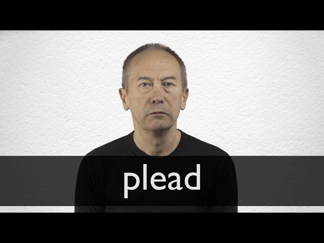 plead definition and meaning collins english dictionary another word for plead