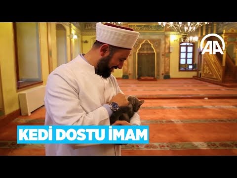 Kedi dostu imam dünya kamuoyunun takdirini topladı