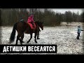 Дети общаются с лошадками и катаются верхом