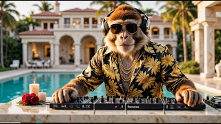 🎧 DJ GO RILLA – JOURNEY №113 | Tropical Summer Latin Tech House 2025 🌴💃 | VERSACE MANSION MIAMI