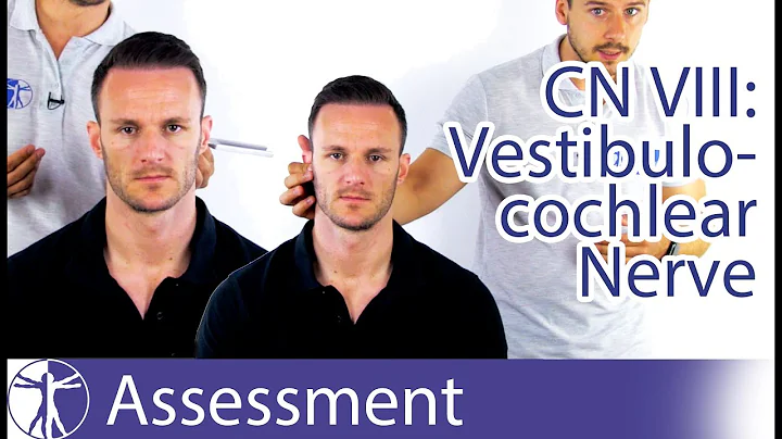 Cranial Nerve 8 Examination | Vestibulocochlear Nerve Assessment for Physiotherapists