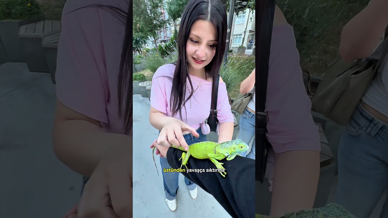 Bağcığımı bağlamam gerekiyor