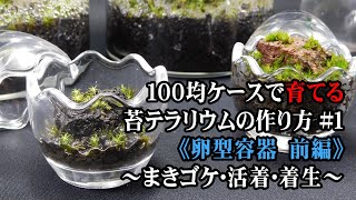 100均 苔テラリウムの作り方 1 前編 Moss Terrarium Youtube