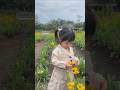 RALINE BERSAMA BUNGA MATAHARI #tranding #fypyoutube