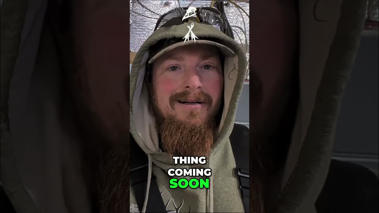 Solar Panels: Beat Rising Electric Prices & Save! #shorts