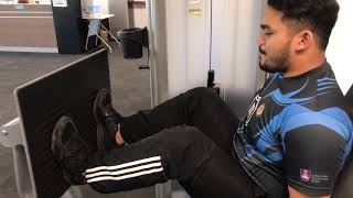 1RM test leg press