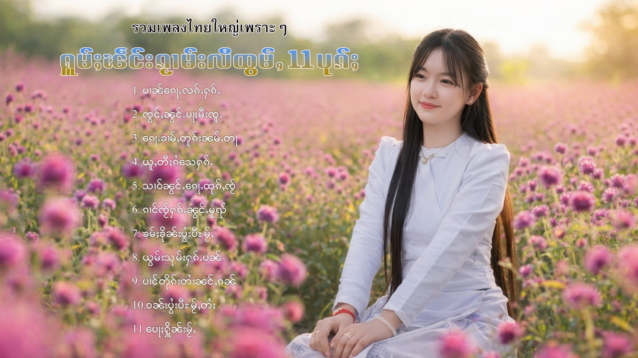 เพลงไทยใหญ่เพราะๆ | ႁူမ်ႈၽဵင်းၵႂၢမ်းလီထွမ်ႇ 11 ပုၵ်ႈ