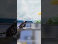 Noob enemy 🤣 troll #bgmi #trending #viralreels #shortsviral #bgmifunnycontent #shortvideo #4k #funny