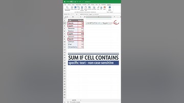 SUM if cell contains specific text - Excel Pro Tip!