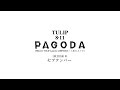 TULIP PAGODA セプテンバー