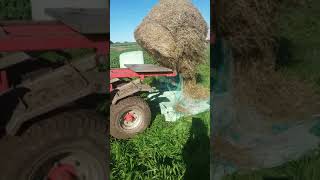 Loading silage to Elite Bale feeder