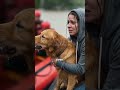 “She Refused to Leave Her Dog… Until Rescue Arrived in the Flood” #animalrescue #rescue #dogrescue