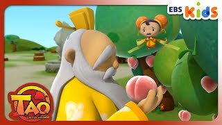 [Eng]Little Wizard TAO Season1 - EP.8 Cleaning the Peach Field (EBSXGNG)