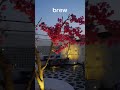 Rise above the ordinary, Every sunset at Brew