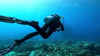 Scuba Woman Check Dive screenshot 4