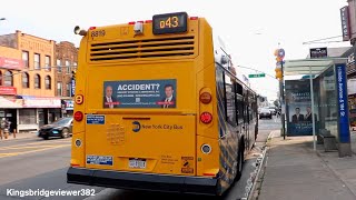 MTA New York City Bus: Two Nova Bus LFS Units on the Q43 Bus in Jamaica, Queens.