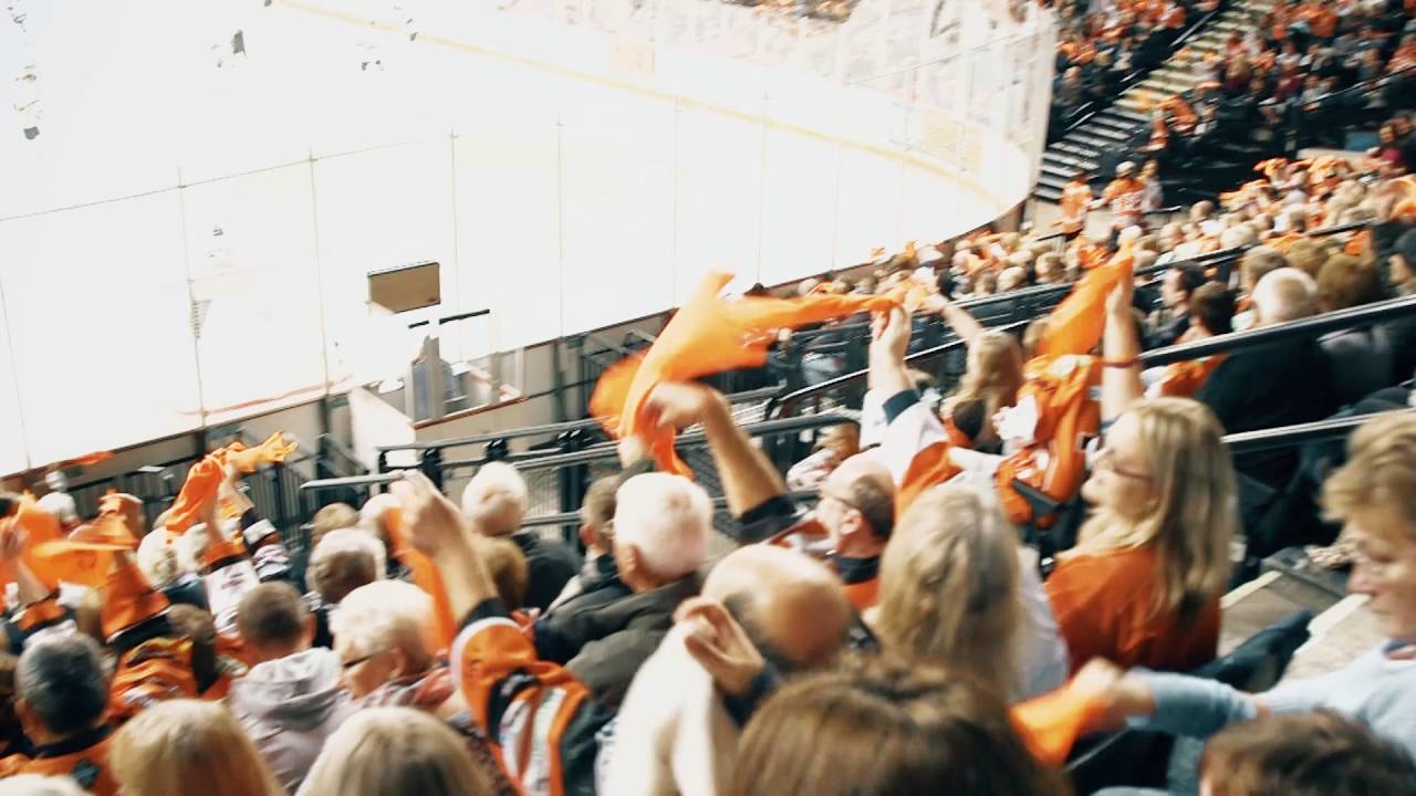 Sheffield Steelers Hockey Night at the Sheffield Arena