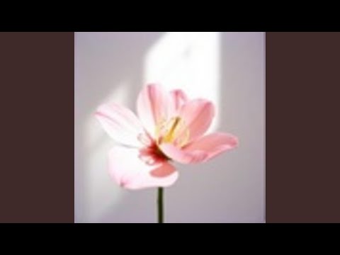 Ніжності бажає душа