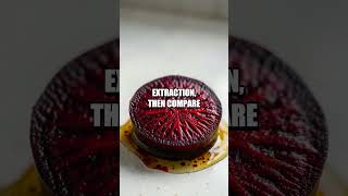 Kitchen Science Playground Three Easy Experiments for Curious Minds