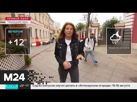 "Утро": пасмурная погода сохранится в Москве в четверг - Москва 24