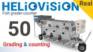 Heliovision 50 grader with integrated fish counter - Trieur-compteur Heliovision 50 -