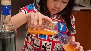 Science Project | Liquid Stacking Experiment