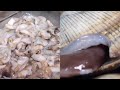 Korea BBQ food #푸드검증단 #koreanfood #streetfood #foodporn #asmr #foodasmr #bbq #koreanbbq #삼합 #강남맛집