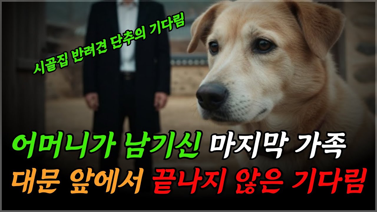 어머니가 남기신 마지막 가족, 대문 앞에서 끝나지 않은 기다림을 보았습니다