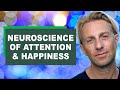 Dr anders hansen  the neuroscience of happiness and attention
