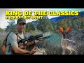 Airgun hunting jackrabbits with the king of the classics