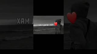 Дили ман савдо надорад ❤️🎧