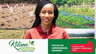 Turn Lemongrass Into Crazy Profits | Kilimo na Biashara