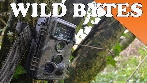 Setting up a Camera Trap!