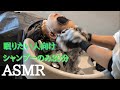 シャンプーのみASMR 【🚨絶対に眠れる30分】Relax Shampoo