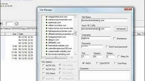 Pushtraffic.com Website Upload