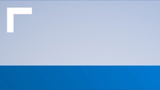 DART terminates Nadine Lee's contract, names interim CEO