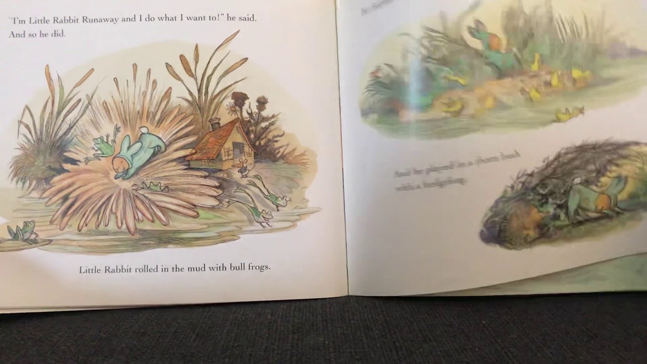 Jessie’s story time - Little Rabbit Runaway - YouTube