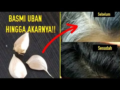 Bikin Kaget Sekali Usap Uban Dan Rambut Putih Hilang Bikin Kaget Sekali Usap Uban Dan Rambut Putih Hilang