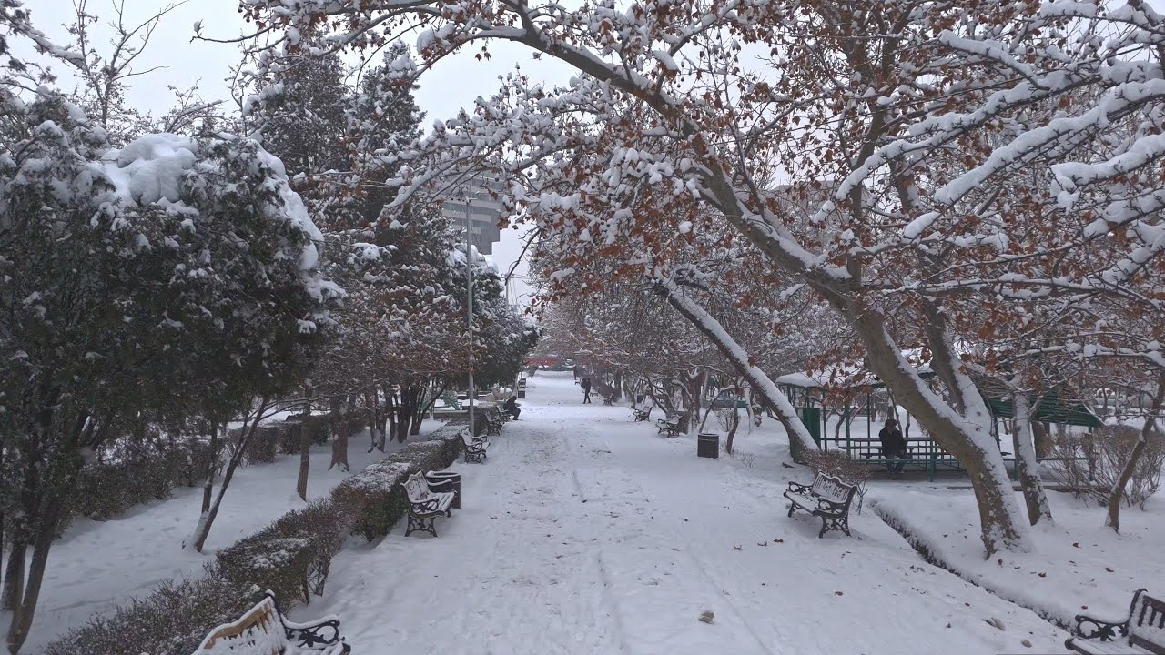 Arabkir park 27.01.24