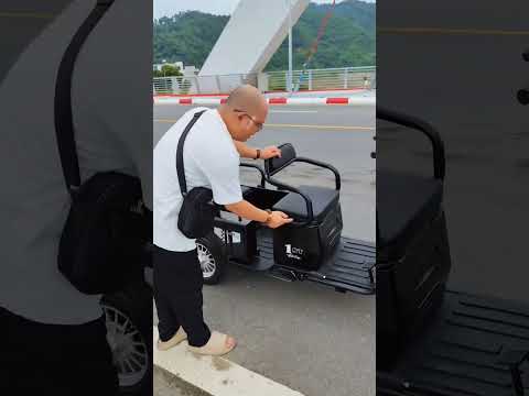 Xe 3 bánh chở người và chở hàng đa năng Smart ST