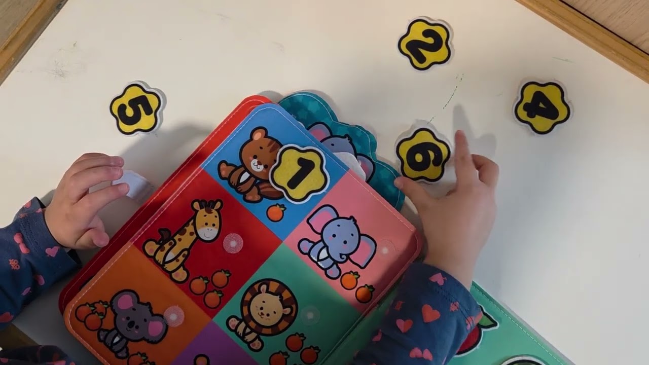 Teaching animals and numbers.