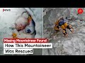 Missing for three days mountaineer found in mt annapurna crevasse but who rescued him