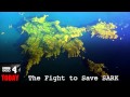 Fight to Save SARK - Sarah Montague Today Programme BBC Radio 4 - 28/3/2012