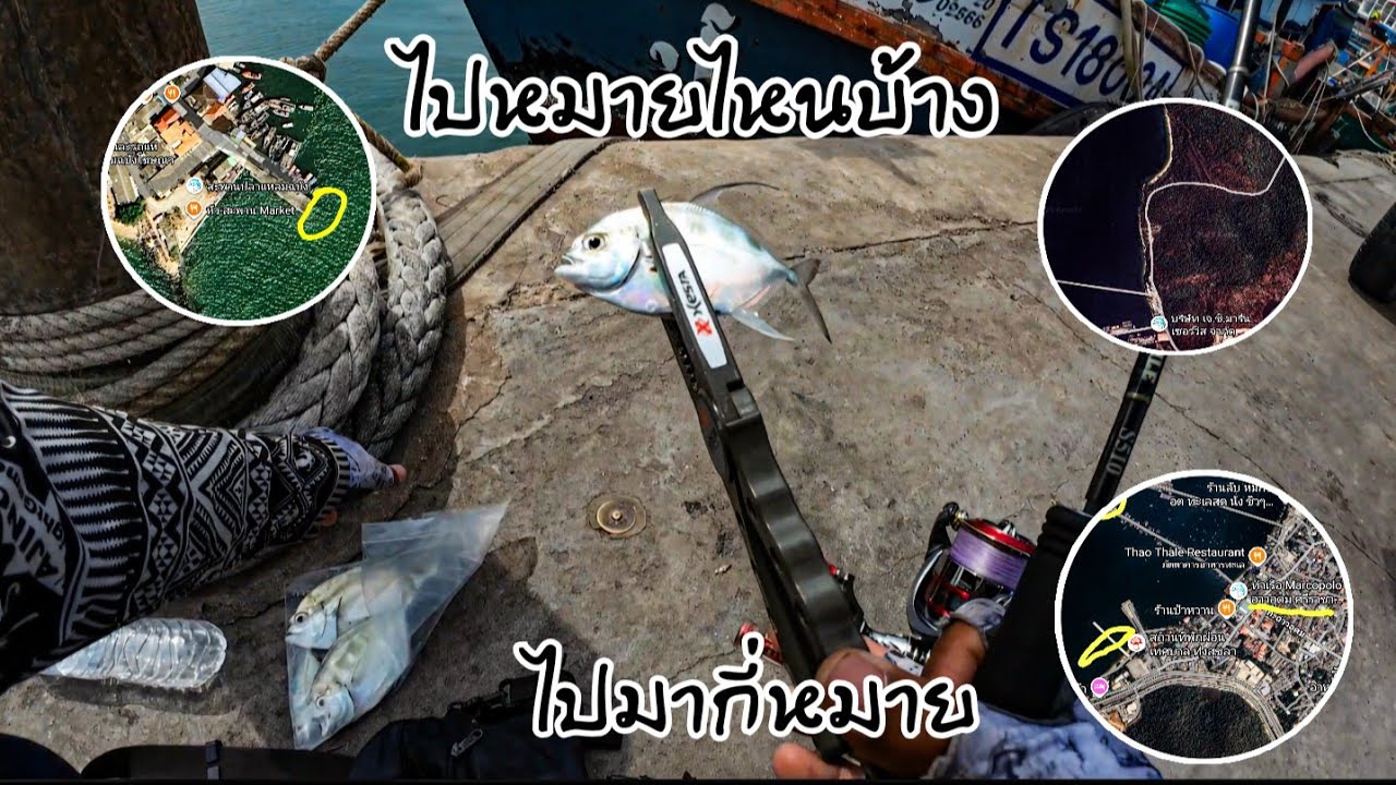 เลาะไปเรื่อย จนเจอตัว #ตกปลาไอ้เปีย #ตกปลาเห็ดโคน 