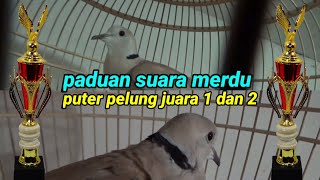 Paduan Suara Merdu,Puter Pelung Juara 1 Dan 2