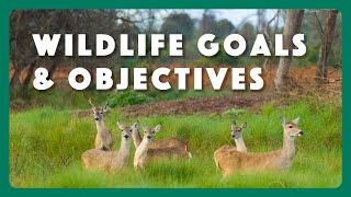 Wildlife Management Goals and Objectives by Texas Parks and Wildlife 872 views 2 months ago 13 minutes, 21 seconds