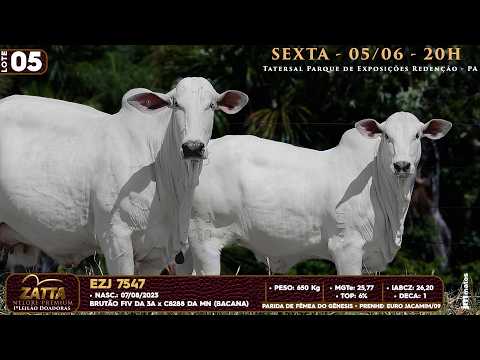 LOTE 05