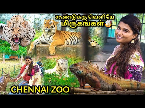 Fun Things to Do in Vandalur | Travel Guide (2024) | Best Places to Visit